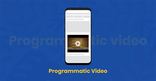 Programmatic video ads